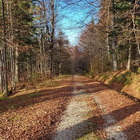 Javorina Апартаменты