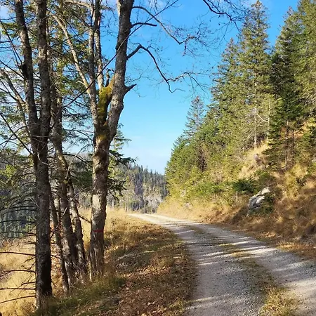 Javorina Апартаменты *