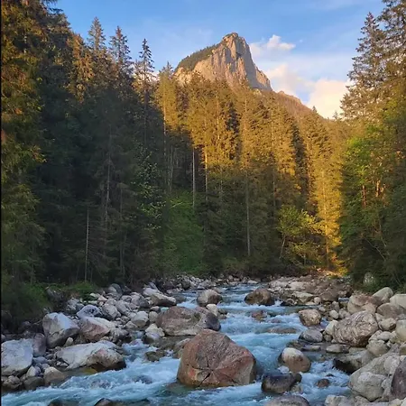 Apartment Javorina *