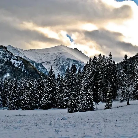 Апартаменты Javorina