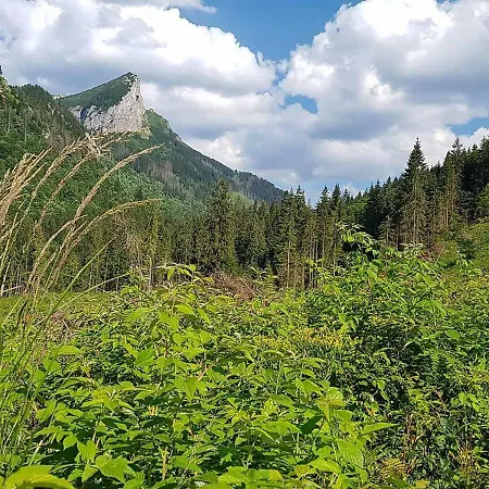 Javorina Апартаменты Ждьяр