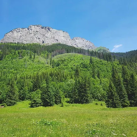 Javorina Ždiar