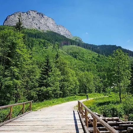 Апартаменты Javorina *